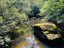 Parc de la Barbinière : Parc de la Barbinière, Sèvre Nantaise, Rochers