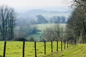 Le Bocage Vendéen : L’Epaud, chemin de randonnée, campagne