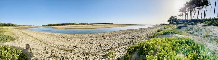 Plage du Veillon : Plage du Veillon, Talmont-Saint-Hilaire