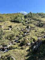 Le Beaufortin : Les Alpes, Beaufortin, Savoie