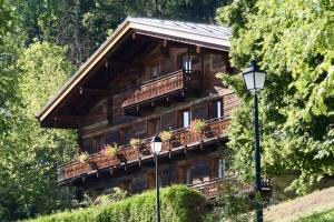 Vallée de Chamonix : Vallée de Chamonix, les Alpes