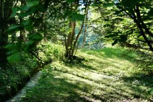 Vallée de Chamonix : Vallée de Chamonix, les Alpes