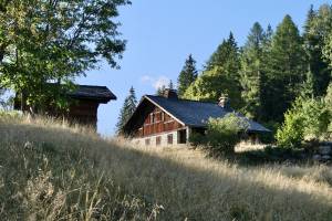 Vallée de Chamonix : Vallée de Chamonix, les Alpes