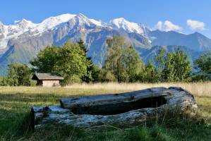 Vallée de Chamonix : Vallée de Chamonix, les Alpes, Auge en bois