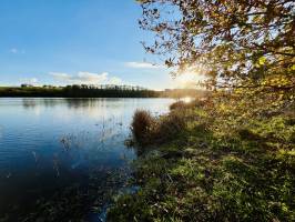 Lac de la Vouraie : Lac de la Vouraie, Saint-Hilaire-le-Vouhis, Retenue de la Sillonnière, Coucher du Soleil