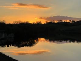 Lac de la Vouraie : Lac de la Vouraie, Saint-Hilaire-le-Vouhis, Retenue de la Sillonnière, Coucher du Soleil