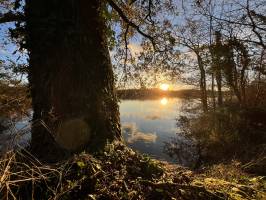 Lac de la Vouraie : Lac de la Vouraie, Saint-Hilaire-le-Vouhis, Retenue de la Sillonnière, Coucher du Soleil