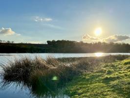 Lac de la Vouraie : Lac de la Vouraie, Saint-Hilaire-le-Vouhis, Retenue de la Sillonnière, Coucher du Soleil