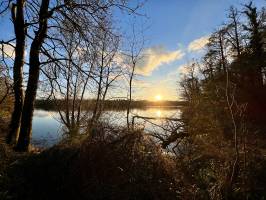 Lac de la Vouraie : Lac de la Vouraie, Saint-Hilaire-le-Vouhis, Retenue de la Sillonnière, Coucher du Soleil