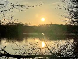 Lac de la Vouraie : Lac de la Vouraie, Saint-Hilaire-le-Vouhis, Retenue de la Sillonnière, Coucher du Soleil