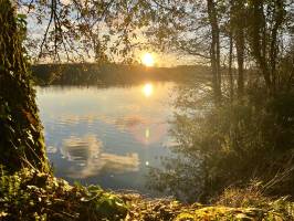 Lac de la Vouraie : Lac de la Vouraie, Saint-Hilaire-le-Vouhis, Retenue de la Sillonnière, Coucher du Soleil