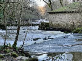 Le Moulin de l’Etourneau : Tita’s Pictures, Moulin de l’Etourneau, Parc de la Barbinière