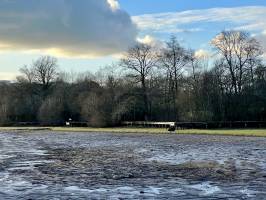 Les Epesses : Tita’s Pictures, Les Epesses, La Bretèche, Etang de l'Aujardière