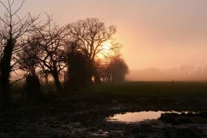 Brouillard givrant ? : Brouillard givrant, campagne vendéenne, champ