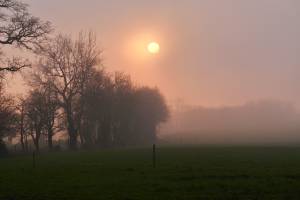 Brouillard givrant ? : Brouillard givrant, campagne vendéenne, champ