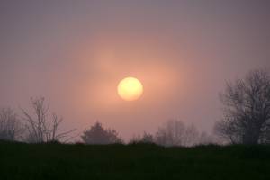 Brouillard givrant ? : Tita’s Pictures, Coucher de soleil, brouillard givrant