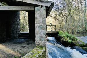 Le Moulin de l’Etourneau : Tita’s Pictures, Le Moulin de l’Etourneau, Le Parc de la Barbinière, Saint-Laurent-sur-Sèvre