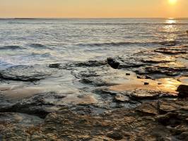 Le Veillon  : Tita’s Pictures, Plage du Veillon, Talmont-Saint-Hilaire