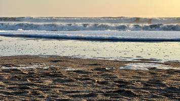 Le Veillon  : Tita’s Pictures, Plage du Veillon, Talmont-Saint-Hilaire