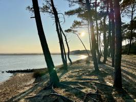 Le Veillon : Tita’s Pictures, Plage, Le Veillon