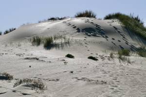 La Dune du Veillon : Tita’s Pictures, Le Veillon, Plage, Talmont-Saint-Hilaire