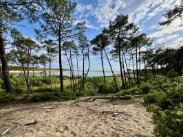 Le Veillon : Tita’s Pictures, Le Veillon, Plage, Talmont-Saint-Hilaire