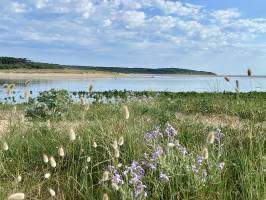 Photo issue de Tita's Pictures