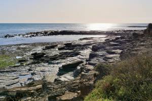 Photo issue de Tita's Pictures