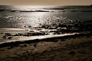 Photo issue de Tita's Pictures