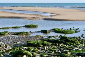 Le Veillon  : Tita’s Pictures, le Veillon, Plage, Mer