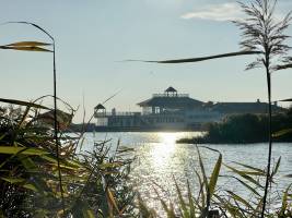 Le Lac de Tanchet : Tita’s Pictures, Lac de Tanchet, Sables d’Olonne