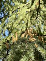 Photo issue de Tita's Pictures