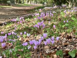 Photo issue de Tita's Pictures