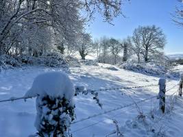 La Vendée sous la neige  : Tita’s Pictures, la Vendée, la Campagne, la Neige 