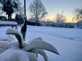 La Vendée sous la neige  : Tita’s Pictures, la Vendée, Neige 