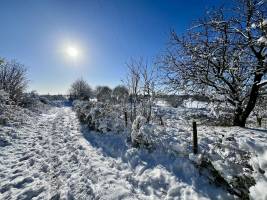 La Vendée sous la neige  : Tita’s Pictures, la Vendée, la Campagne, la Neige 