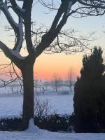 La Vendée sous la neige  : Tita’s Pictures, la Vendée, la Campagne, la Neige 