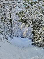 La Vendée sous la neige  : Tita’s Pictures, la Vendée, la Campagne, la Neige 