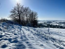 La Vendée sous la neige  : Tita’s Pictures, la Vendée, la Campagne, la Neige 