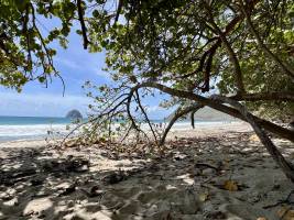 Plage du Diamant  : Tita’s Pictures, La Martinique, Plage du Diamant, Grande Anse Diamant