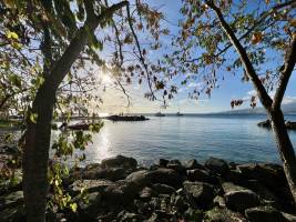 La Pointe du Bout : Tita’s Pictures, La Martinique, La Pointe du Bout, Les Trois-Îlets